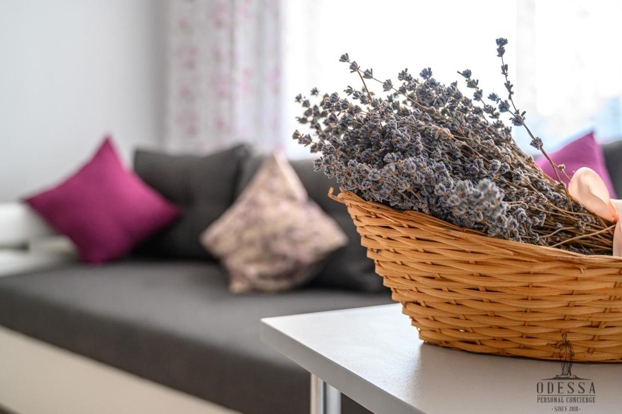 City Center New House Odessa Eksteriør billede
